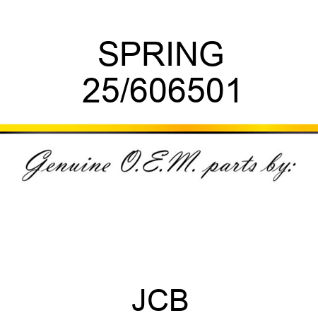 SPRING 25/606501