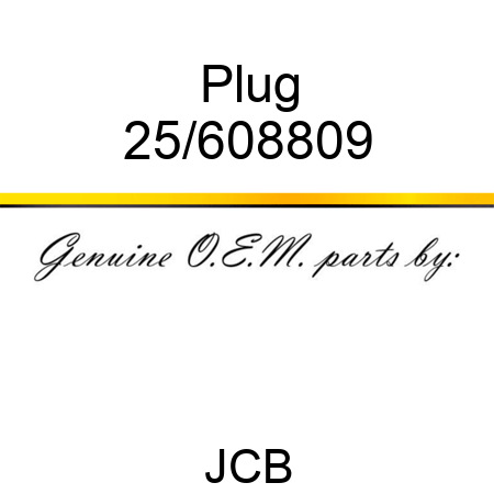 Plug 25/608809