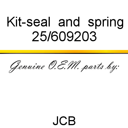 Kit-seal & spring 25/609203