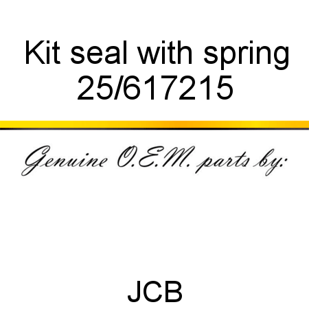 Kit, seal, with spring 25/617215