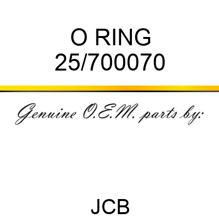 O RING 25/700070