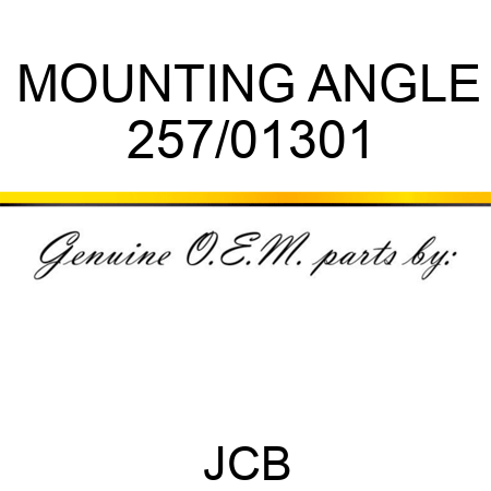 MOUNTING ANGLE 257/01301