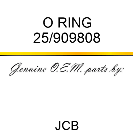 O RING 25/909808