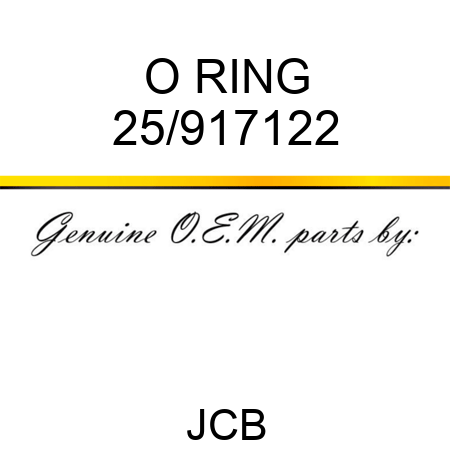 O RING 25/917122