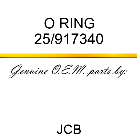 O RING 25/917340