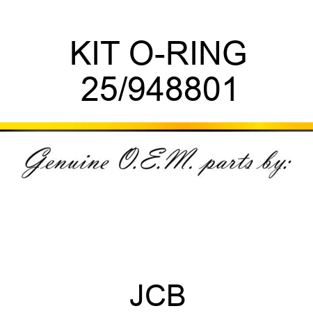KIT O-RING 25/948801