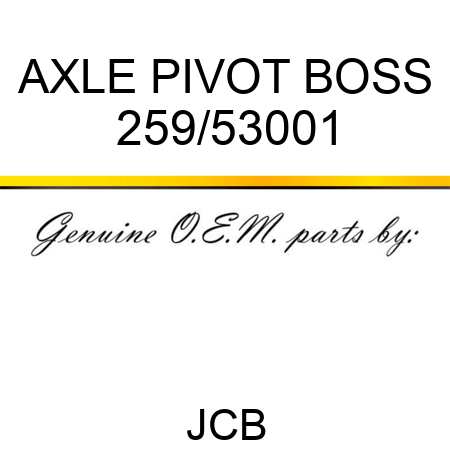 AXLE PIVOT BOSS 259/53001