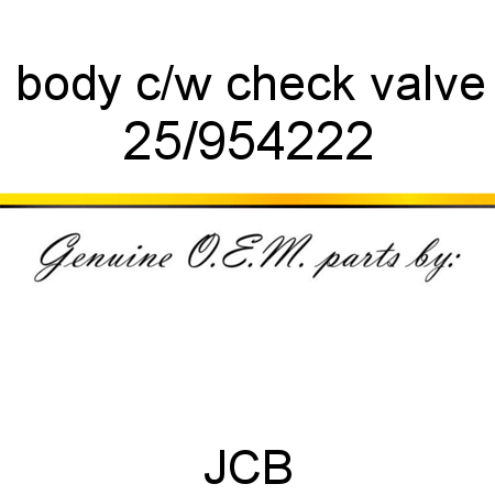 body, c/w check valve 25/954222