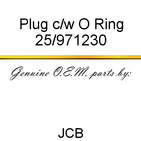 Plug, c/w O Ring 25/971230
