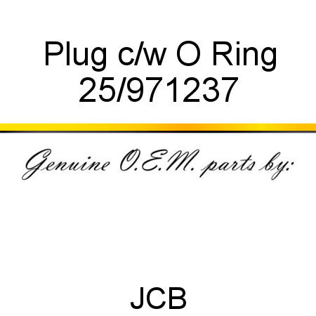 Plug, c/w O Ring 25/971237