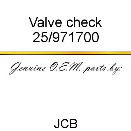 Valve, check 25/971700