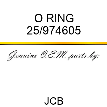 O RING 25/974605