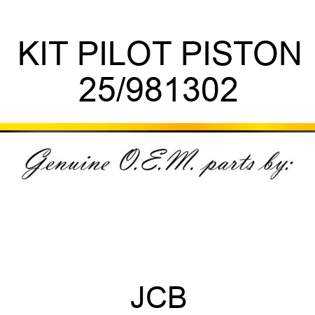 KIT PILOT PISTON 25/981302