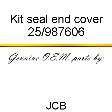 Kit, seal, end cover 25/987606