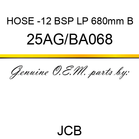 HOSE -12 BSP LP 680mm B 25AG/BA068