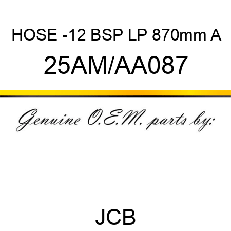 HOSE -12 BSP LP 870mm A 25AM/AA087