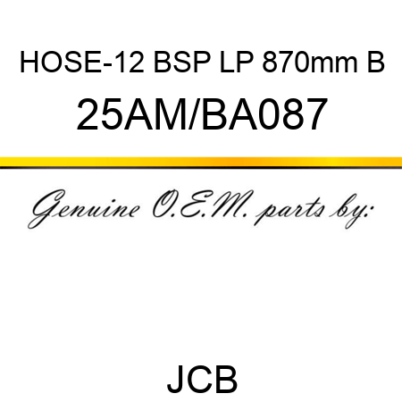 HOSE-12 BSP LP 870mm B 25AM/BA087