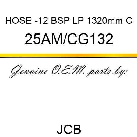 HOSE -12 BSP LP 1320mm C 25AM/CG132