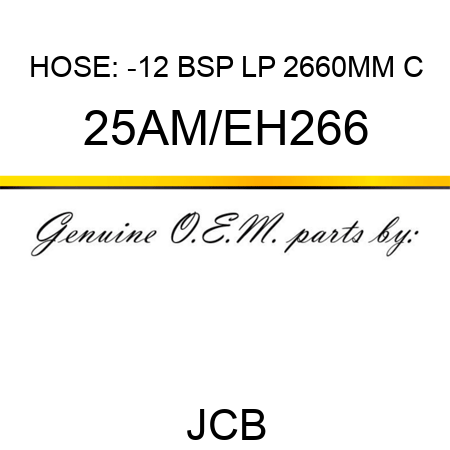 HOSE: -12 BSP LP 2660MM C 25AM/EH266