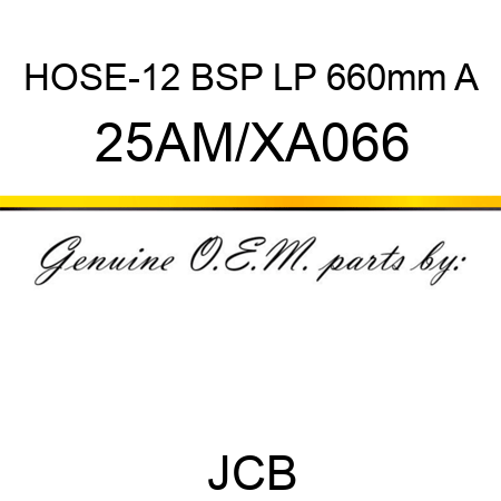 HOSE-12 BSP LP 660mm A 25AM/XA066