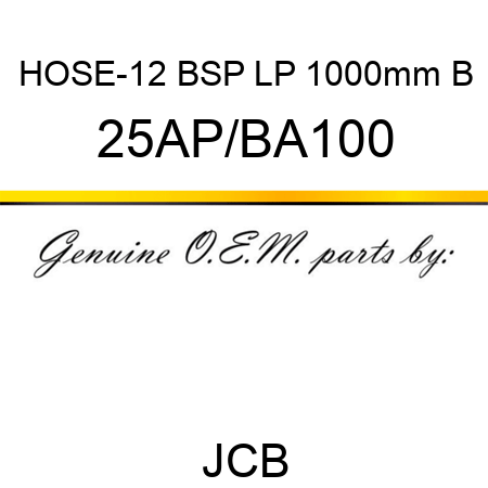 HOSE-12 BSP LP 1000mm B 25AP/BA100