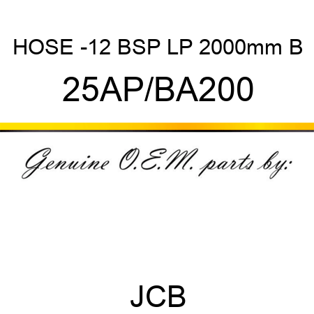 HOSE -12 BSP LP 2000mm B 25AP/BA200