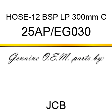 HOSE-12 BSP LP 300mm C 25AP/EG030