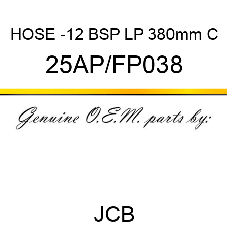 HOSE -12 BSP LP 380mm C 25AP/FP038