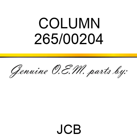 COLUMN 265/00204