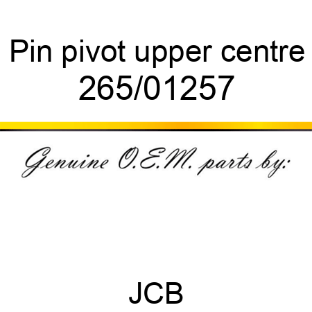 Pin, pivot, upper centre 265/01257