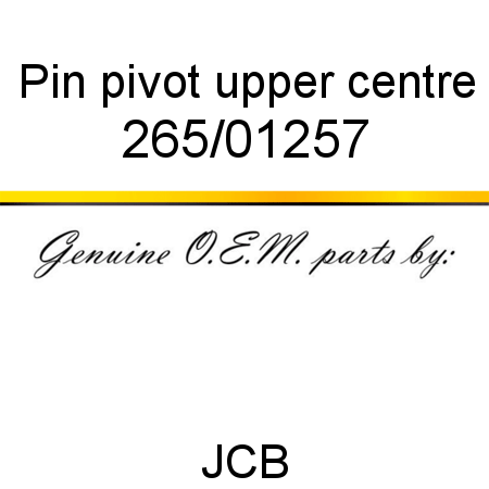 Pin, pivot, upper centre 265/01257