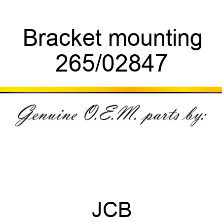 Bracket mounting 265/02847