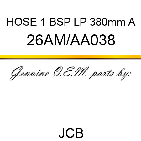 HOSE 1 BSP LP 380mm A 26AM/AA038