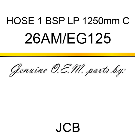HOSE 1 BSP LP 1250mm C 26AM/EG125