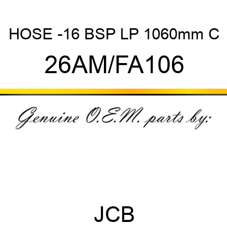 HOSE -16 BSP LP 1060mm C 26AM/FA106