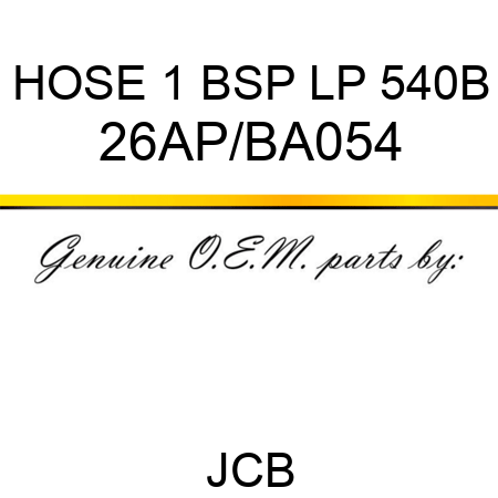 HOSE 1 BSP LP 540B 26AP/BA054