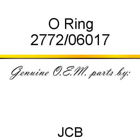 O Ring 2772/06017