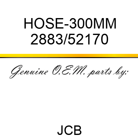 HOSE-300MM 2883/52170