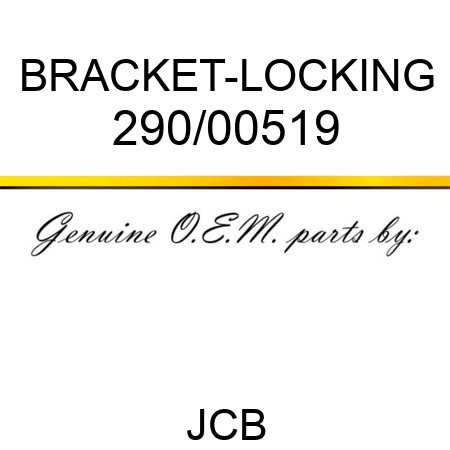 BRACKET-LOCKING 290/00519