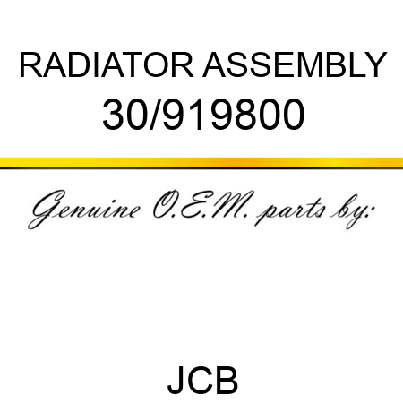 RADIATOR ASSEMBLY 30/919800