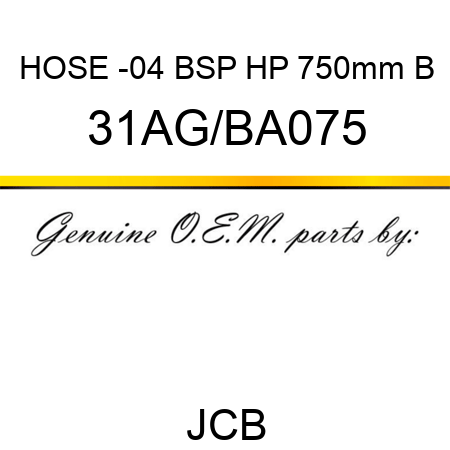 HOSE -04 BSP HP 750mm B 31AG/BA075
