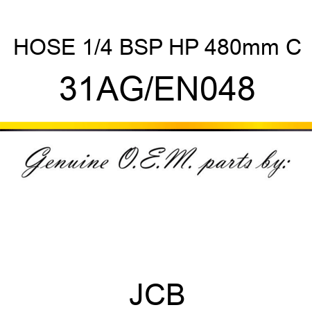 HOSE 1/4 BSP HP 480mm C 31AG/EN048