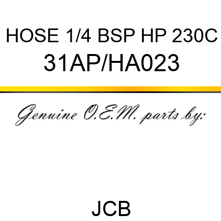 HOSE 1/4 BSP HP 230C 31AP/HA023