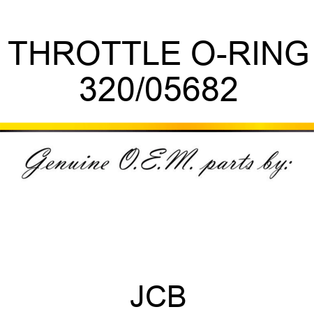 THROTTLE O-RING 320/05682