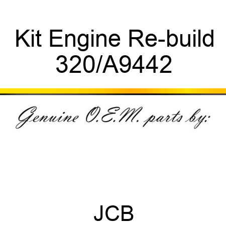Kit Engine Re-build 320/A9442