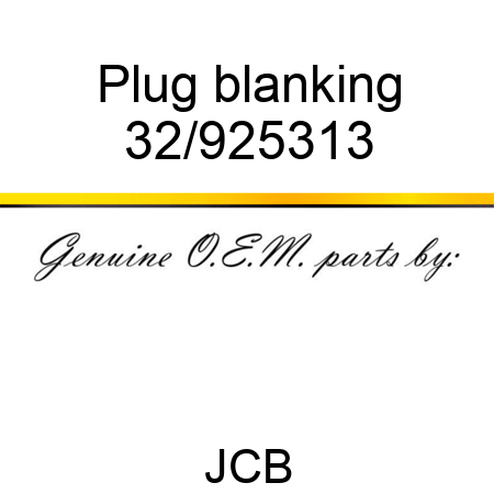 Plug blanking 32/925313