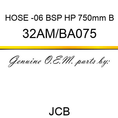 HOSE -06 BSP HP 750mm B 32AM/BA075