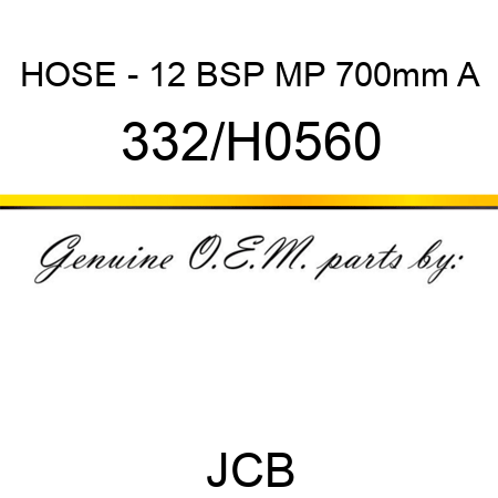 HOSE - 12 BSP MP 700mm A 332/H0560