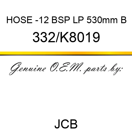 HOSE -12 BSP LP 530mm B 332/K8019