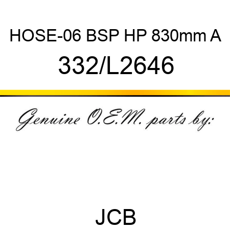 HOSE-06 BSP HP 830mm A 332/L2646